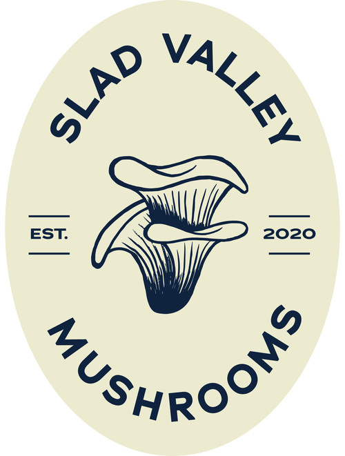 Slad Valley Mushrooms