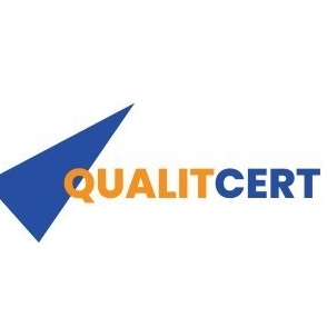 ISO Consultant