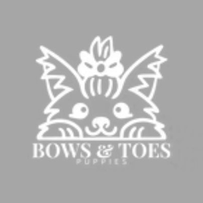 Bows And Toes