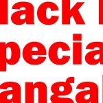 Astrologerservice Astrologerservice
