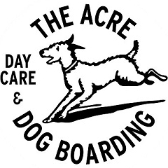 The Acre: Dog Boarding And Daycare