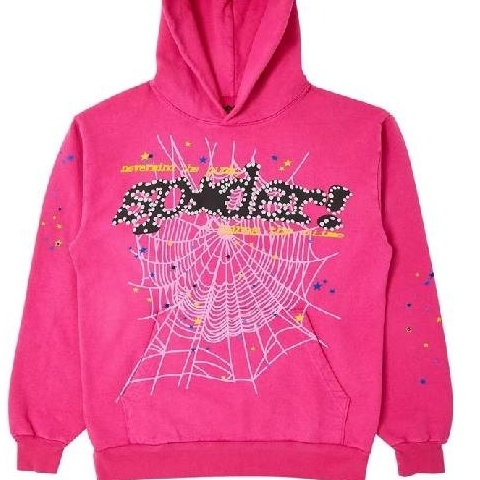 Pink Sp5der Hoodie