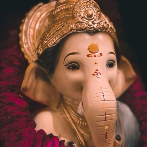 Krupa Shah